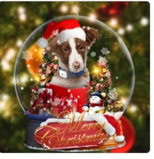 Sleeping Angel Dog Car Pendant, Acrylic Hanging Ornament for Cars, Doors & Home Decoration