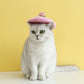 Wool Felt Flower Hat for Pets, Cute INS-Style Floral Cap for Cats & Dogs