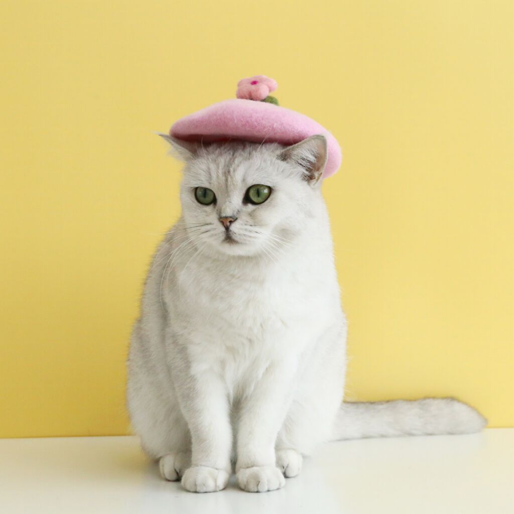 Wool Felt Flower Hat for Pets, Cute INS-Style Floral Cap for Cats & Dogs
