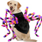 Halloween Luminescent Spider Pet Costume, Dress-Up Props for Kittens, Small Pets & Big Dogs