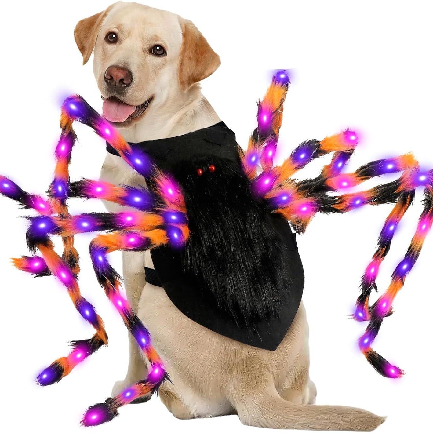 Halloween Luminescent Spider Pet Costume, Dress-Up Props for Kittens, Small Pets & Big Dogs