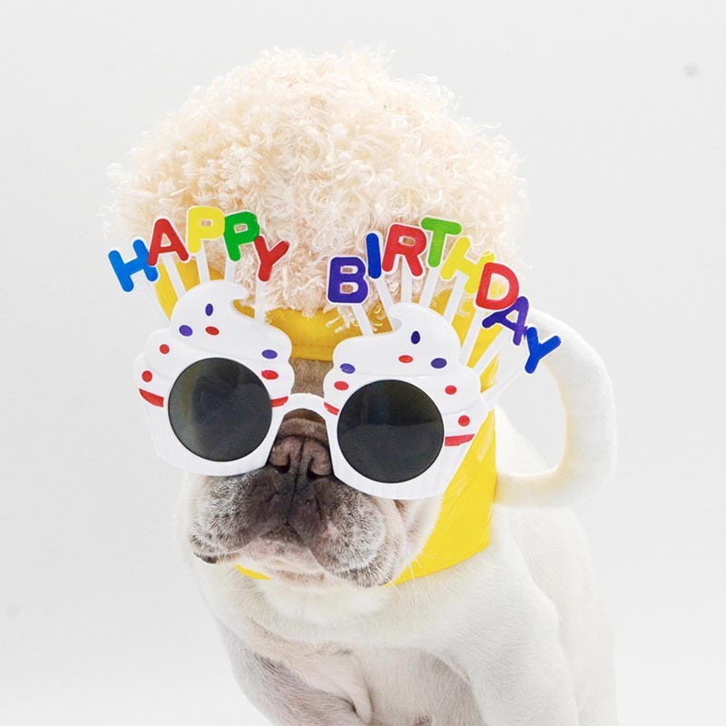 Pet Beer Hat Cosplay Headdress, PU Dog Hat Costume Accessory