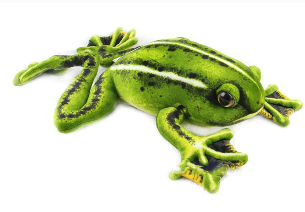 Big Leap of Fun: $\mathbf{50\text{cm}}$ Simulation Frog Plush Doll Toy (Creative & Soft).