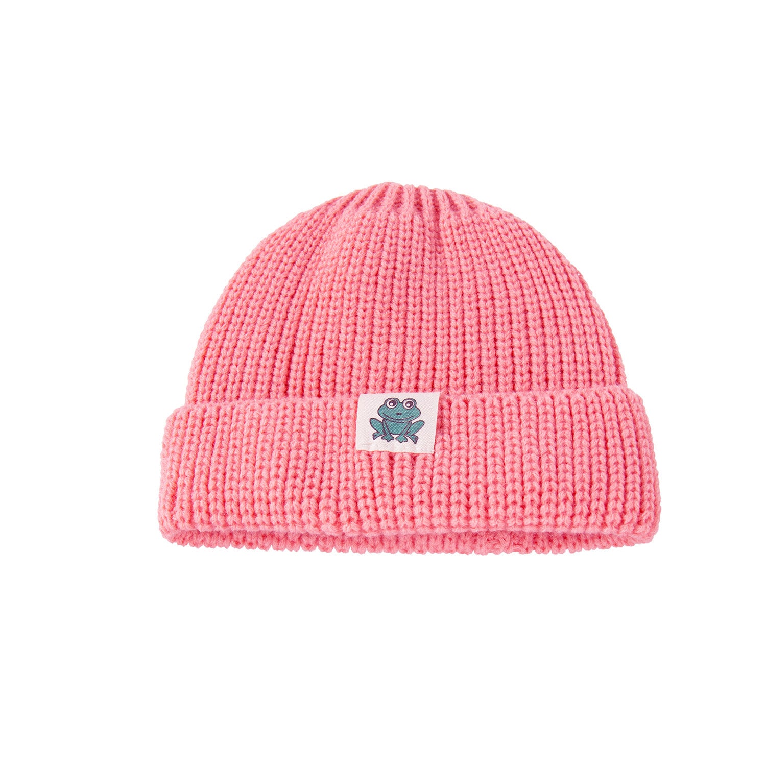 All-Season Warmth: Multicolor Frog Cloth Label Knitted Woolen Hat (Unisex).