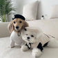 Pet Dog & Cat Knitted Hat, Fashionable Warm Winter Accessory