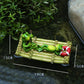 Water Garden Charm: Modern Resin Floating Frog Simulation Animal Ornaments.