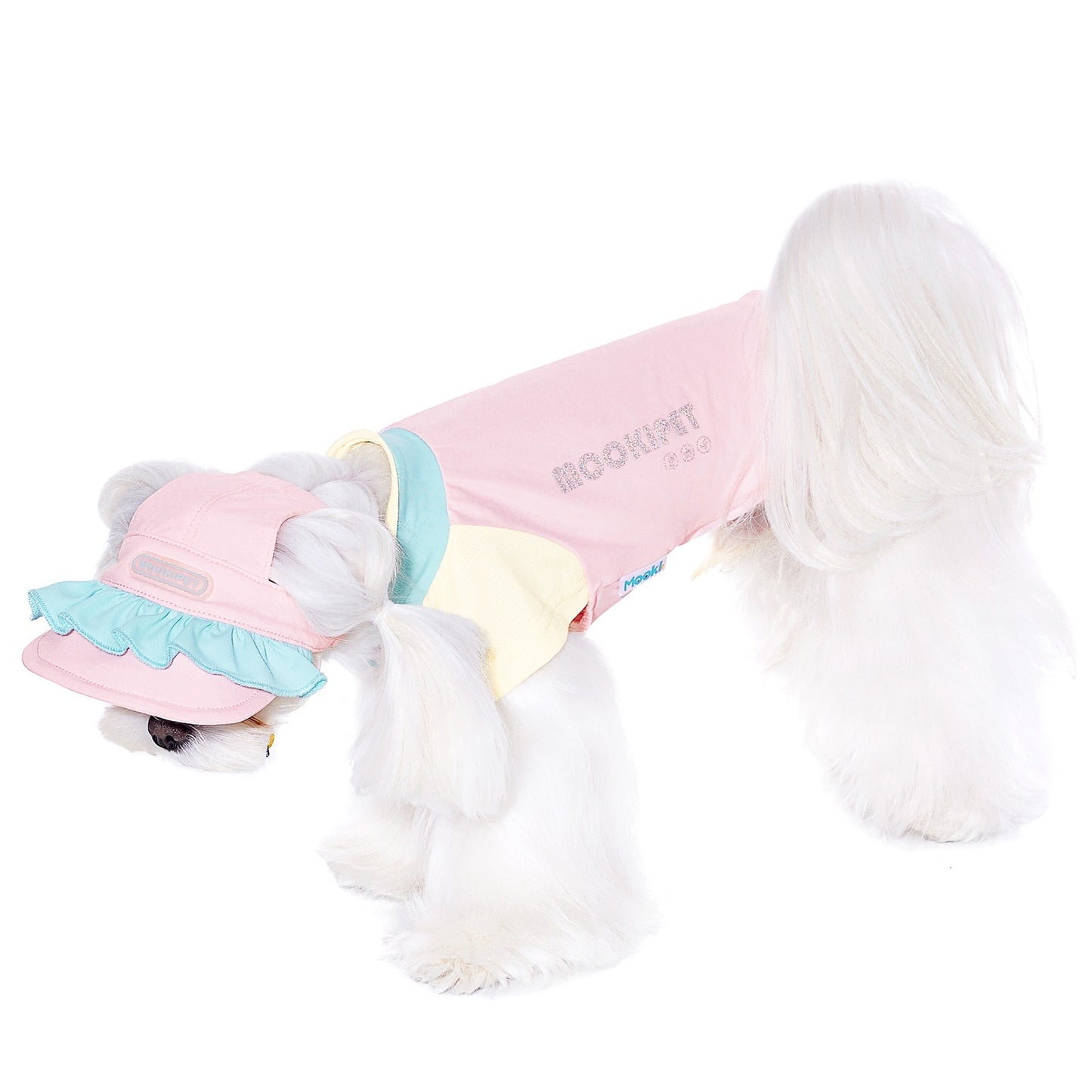 Dog Hat with Ear Holes, Exposed Ears Pet Cap for Small Dogs (Bichon, Schnauzer)