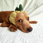 Knitted Dinosaur & Animal Pet Hat, Warm Windproof Halloween Head Cover for Dogs