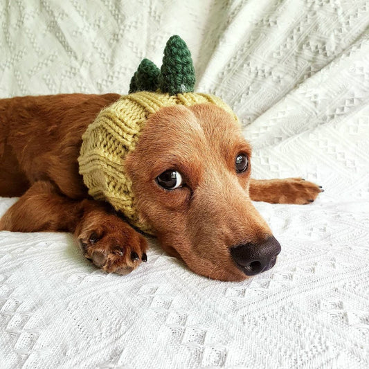 Knitted Dinosaur & Animal Pet Hat, Warm Windproof Halloween Head Cover for Dogs