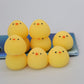 Super Cute Dumplings Squeezing Toy – Fat Chicken Soup Round Chicken Stress Relief Toy