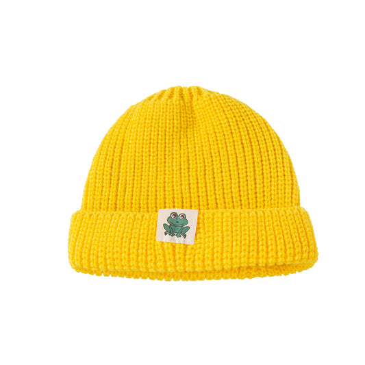All-Season Warmth: Multicolor Frog Cloth Label Knitted Woolen Hat (Unisex).