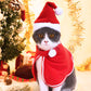 Pet Christmas Suit, Cat & Dog Santa Cloak with Matching Hat