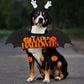 Halloween Luminous Skeleton Bat Wings Costume for Dogs & Cats, Adjustable Cosplay Outfit (S–L)