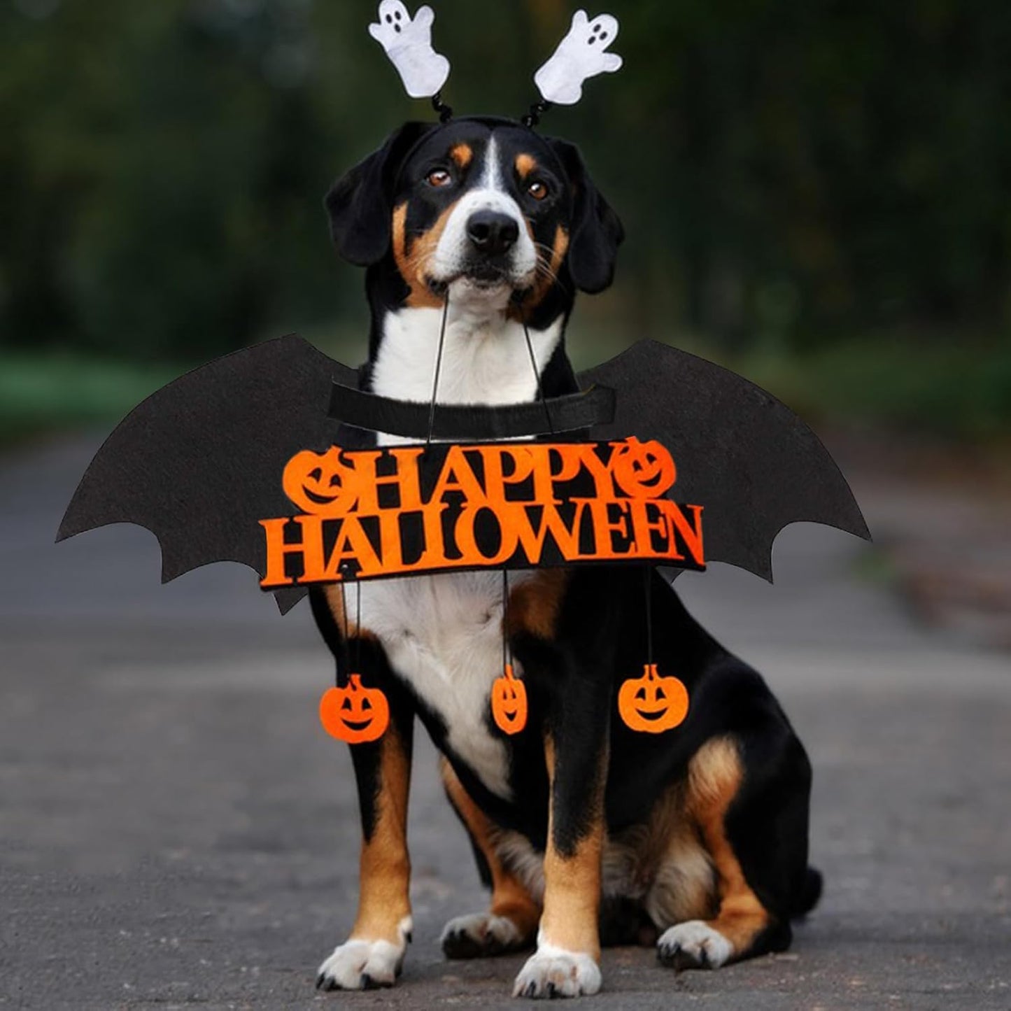 Halloween Luminous Skeleton Bat Wings Costume for Dogs & Cats, Adjustable Cosplay Outfit (S–L)