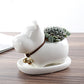White Ceramic Animal Ornament with Tray, Dog, Cat & Hippo Decorative Planter (Small)