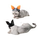 Halloween Ghost Festival Pet Costume, Dog & Cat Personality Hat with Bat Wings (S–L)