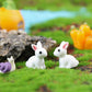 Mini Small-Ears Bunny, Moss Micro Landscape Resin Craft Ornament