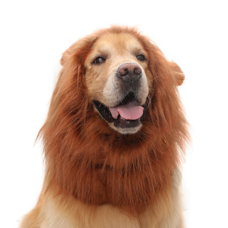 Pet Dog Lion Head Wig, Velvet Dog Hat & Costume Cover